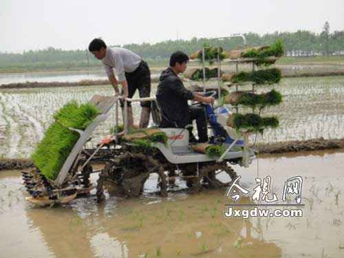 春雨纷纷下 农机春耕忙
