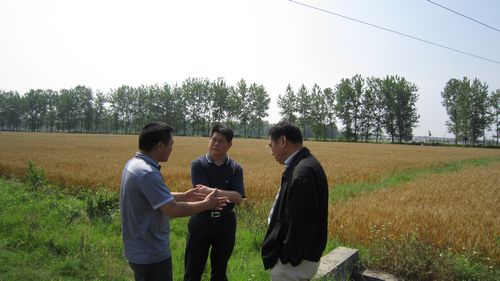 湖北、陕西农机安全互助保险为“三夏”跨区作