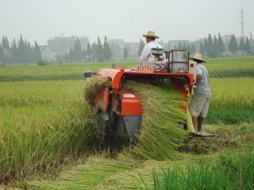 云梦2012年中稻机收安全会战拉开序幕