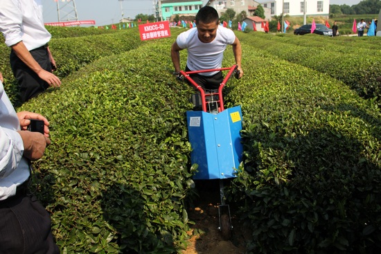 全国西南片区茶园机械化管理设备示范现场会召