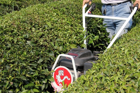 全国西南片区茶园机械化管理设备示范现场会召