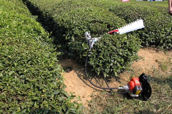 全国西南片区茶园机械化管理设备示范现场会召
