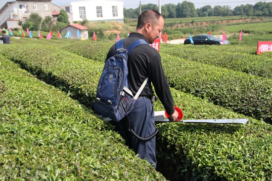 全国西南片区茶园机械化管理设备示范现场会召