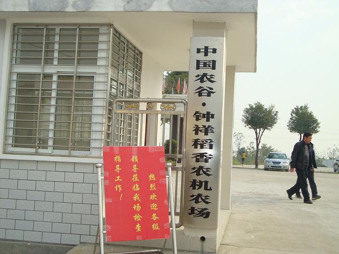 钟祥市：力推“千万工程”建设