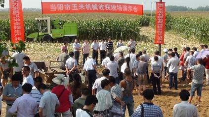 当阳市举办现场会力推玉米机械收获