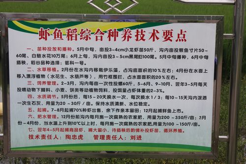 省总站、省协会组织考察学习潜江、天门“稻虾