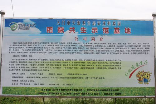 省总站、省协会组织考察学习潜江、天门“稻虾