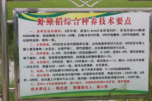省总站、省协会组织考察学习潜江、天门“稻虾