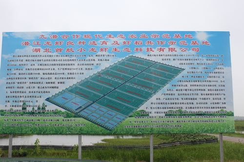 省总站、省协会组织考察学习潜江、天门“稻虾