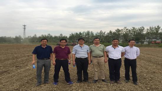 农业部专家指导组赴湖北调研油菜机械化直播生产