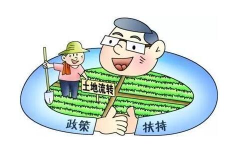 农业部:“三权分置”后农业补贴只增不减 农业部:“三权分置”后农业补贴只增不减