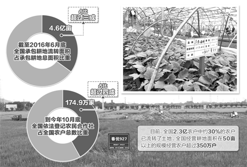 土地流转和适度规模经营发展已成为趋势 土地流转和适度规模经营发展已成为趋势