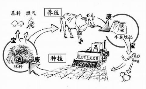 养殖废弃物循环利用 让农业回归绿色 养殖废弃物循环利用 让农业回归绿色