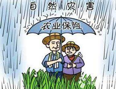 这项农业补贴力度大却为何推行难? 这项农业补贴力度大却为何推行难?