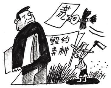 粮价走低 种粮大户吐露“三点期盼” 粮价走低 种粮大户吐露“三点期盼”