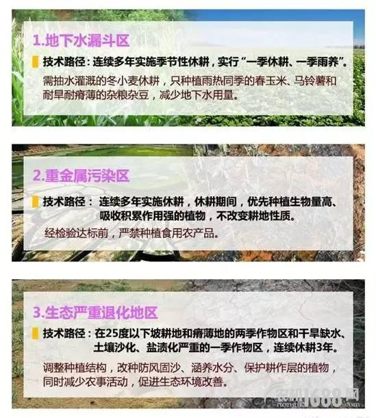 2017年农民不种地,也能领到最高每亩1300元的补贴! 2017年农民不种地,也能领到最高每亩1300元的补贴!